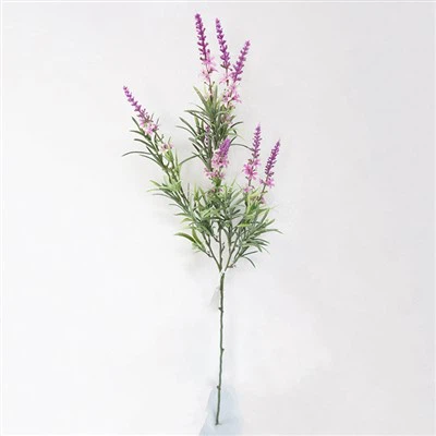 Uv Prova Fjura Stemss